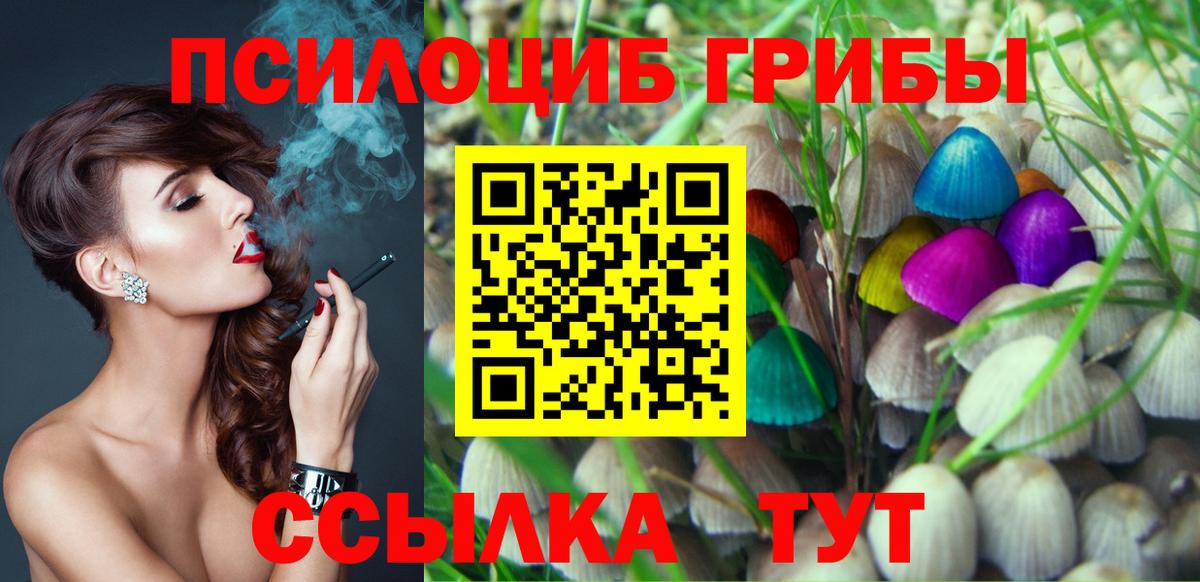 Галлюциногенные грибы Psilocybine cubensis Асино